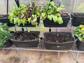 Greenhouse stand with self-watering pots