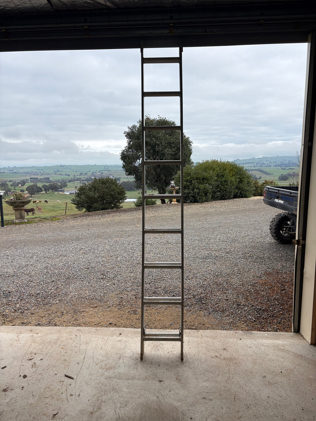 Oldfields 4.6m ladder