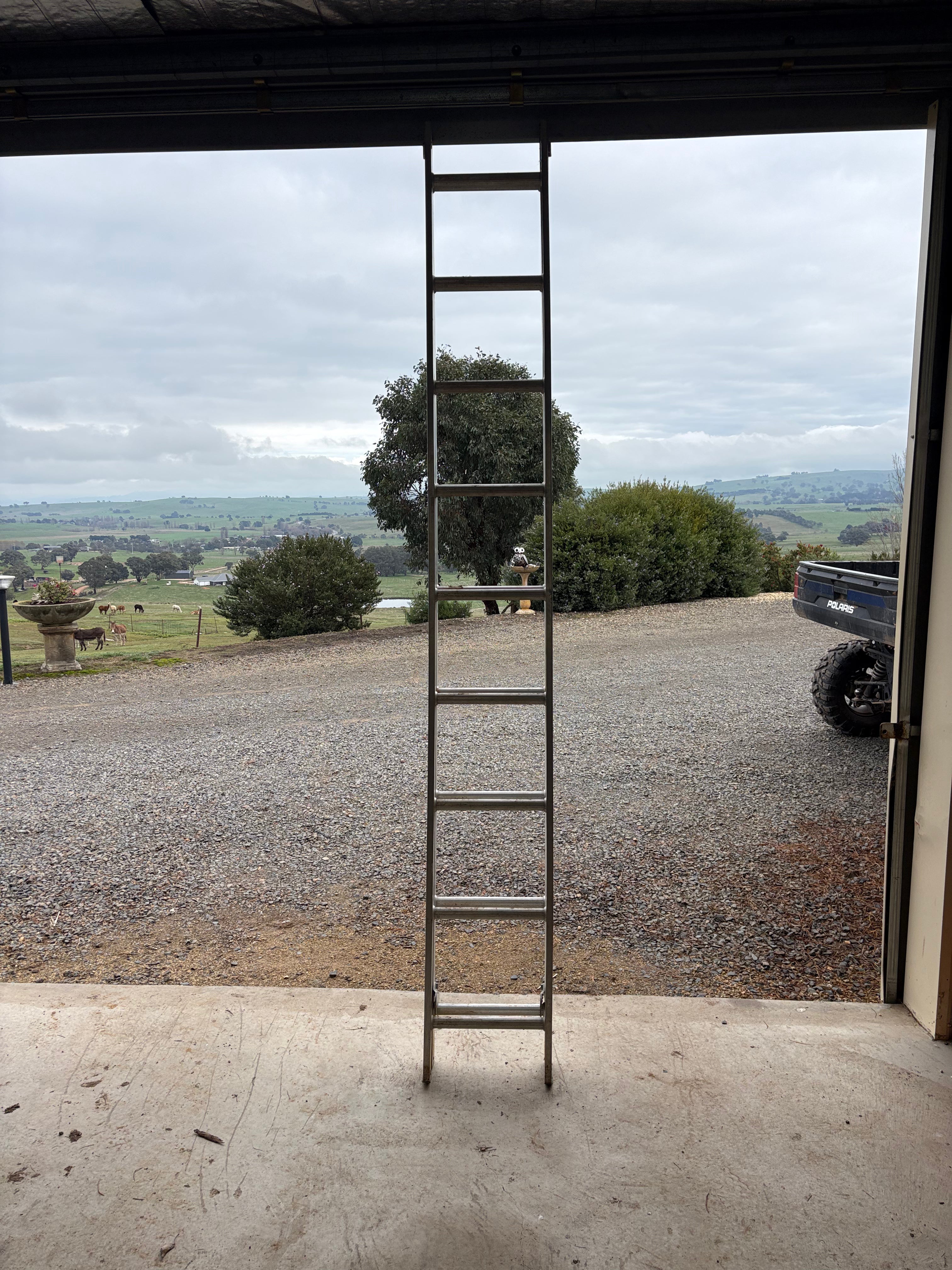 Oldfields 4.6m ladder