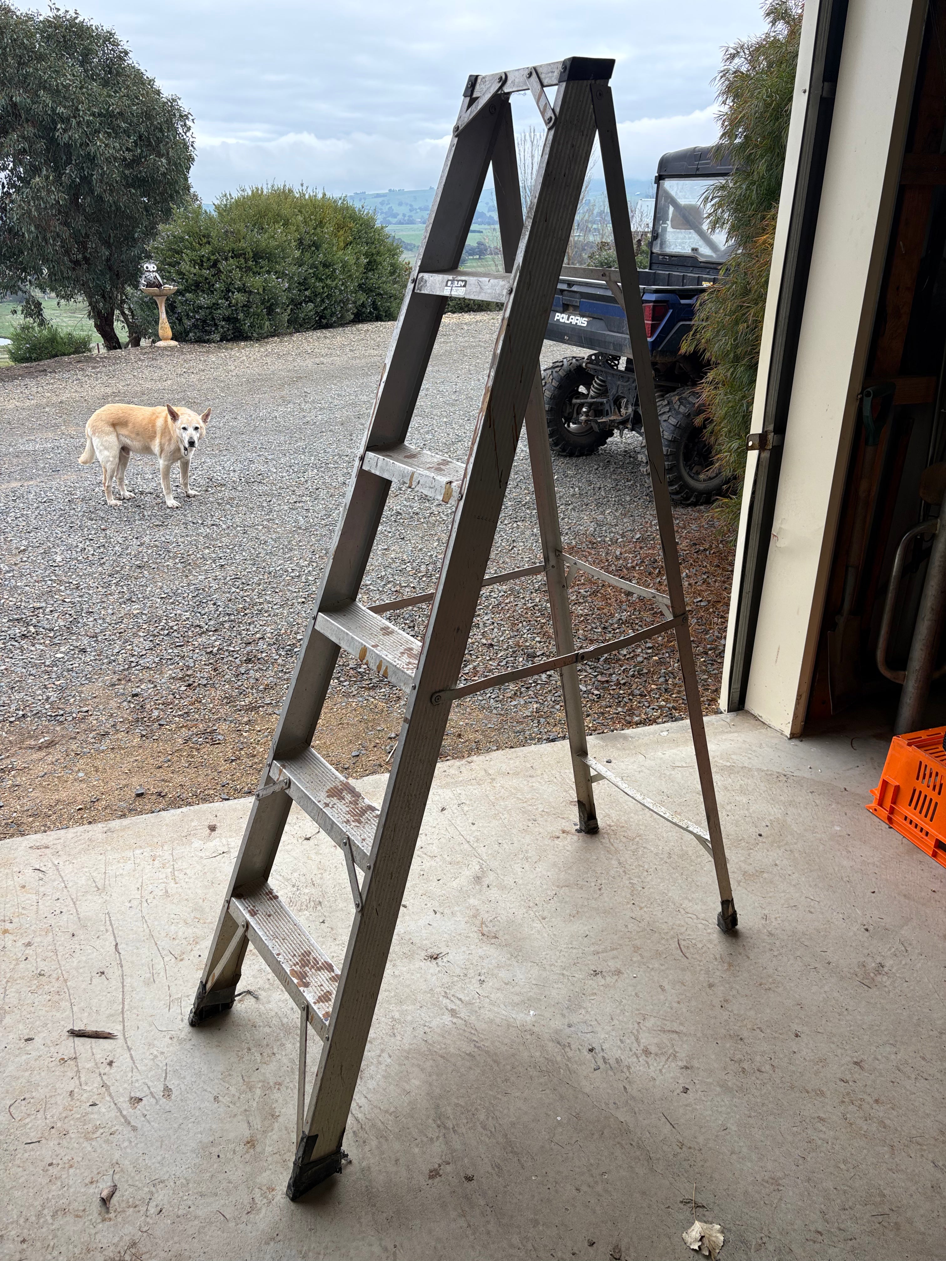 Bailey ladder