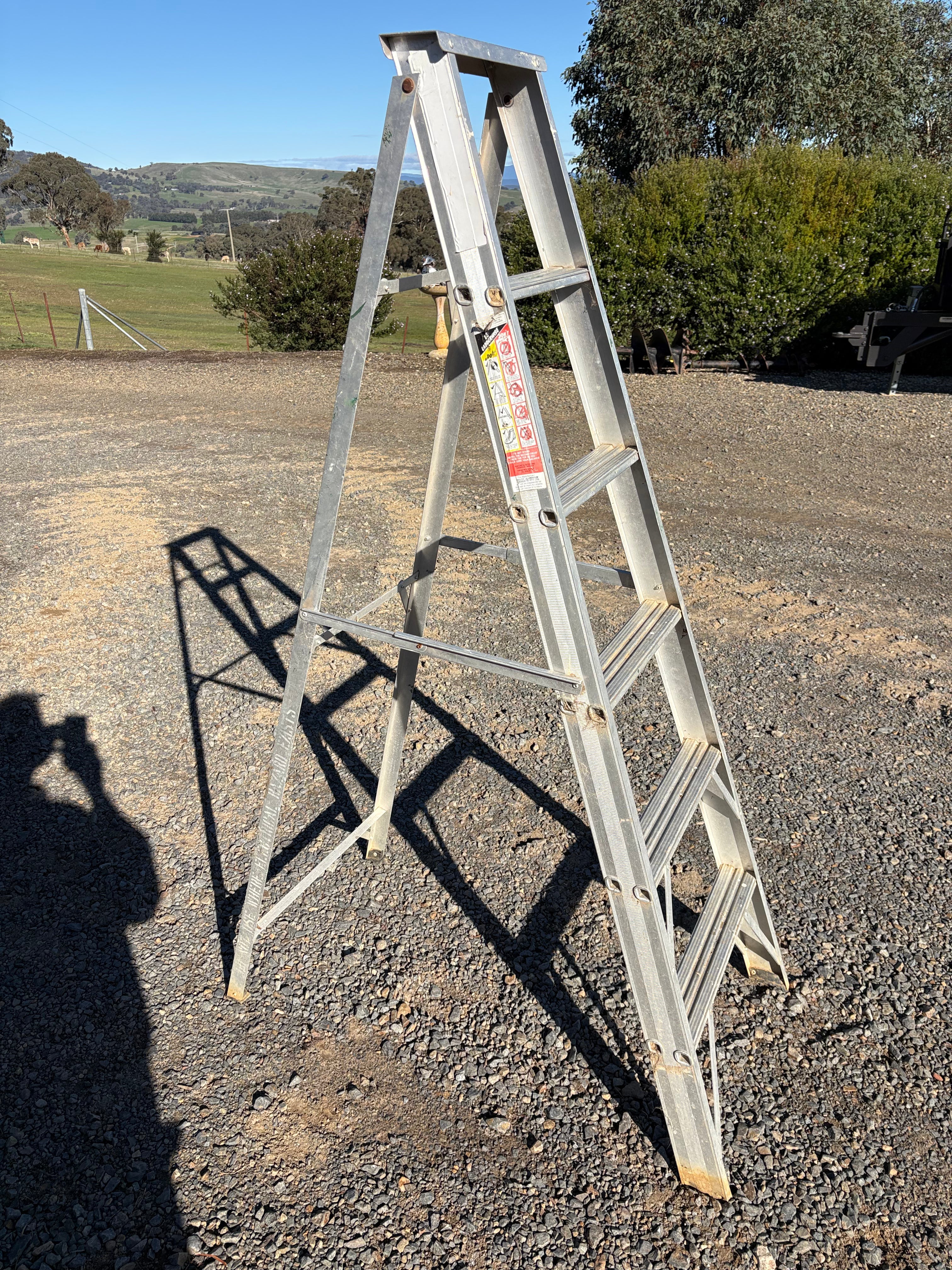 Bailey ladder